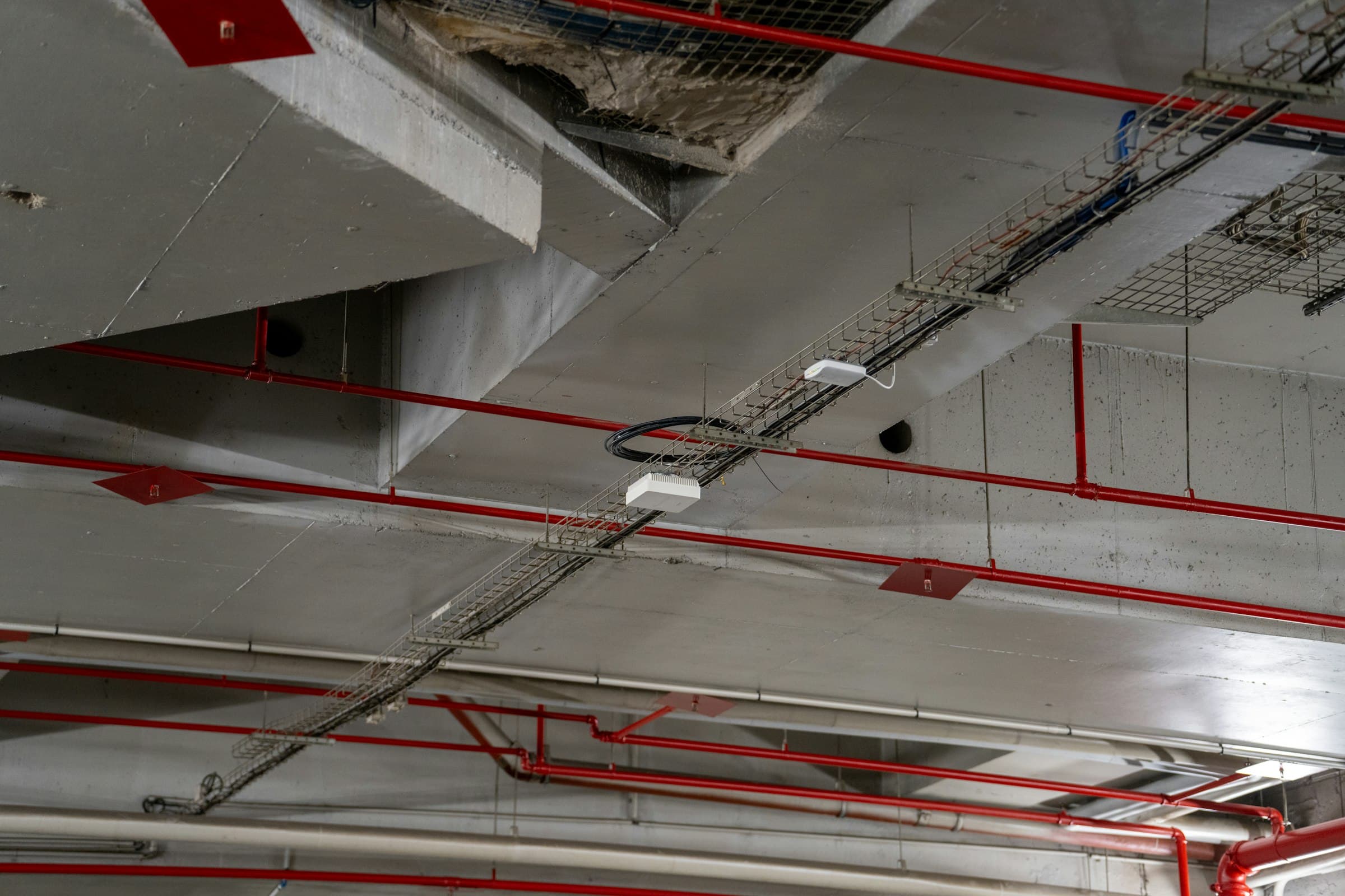 Building services ceiling with red fire protection pipework and cable trays