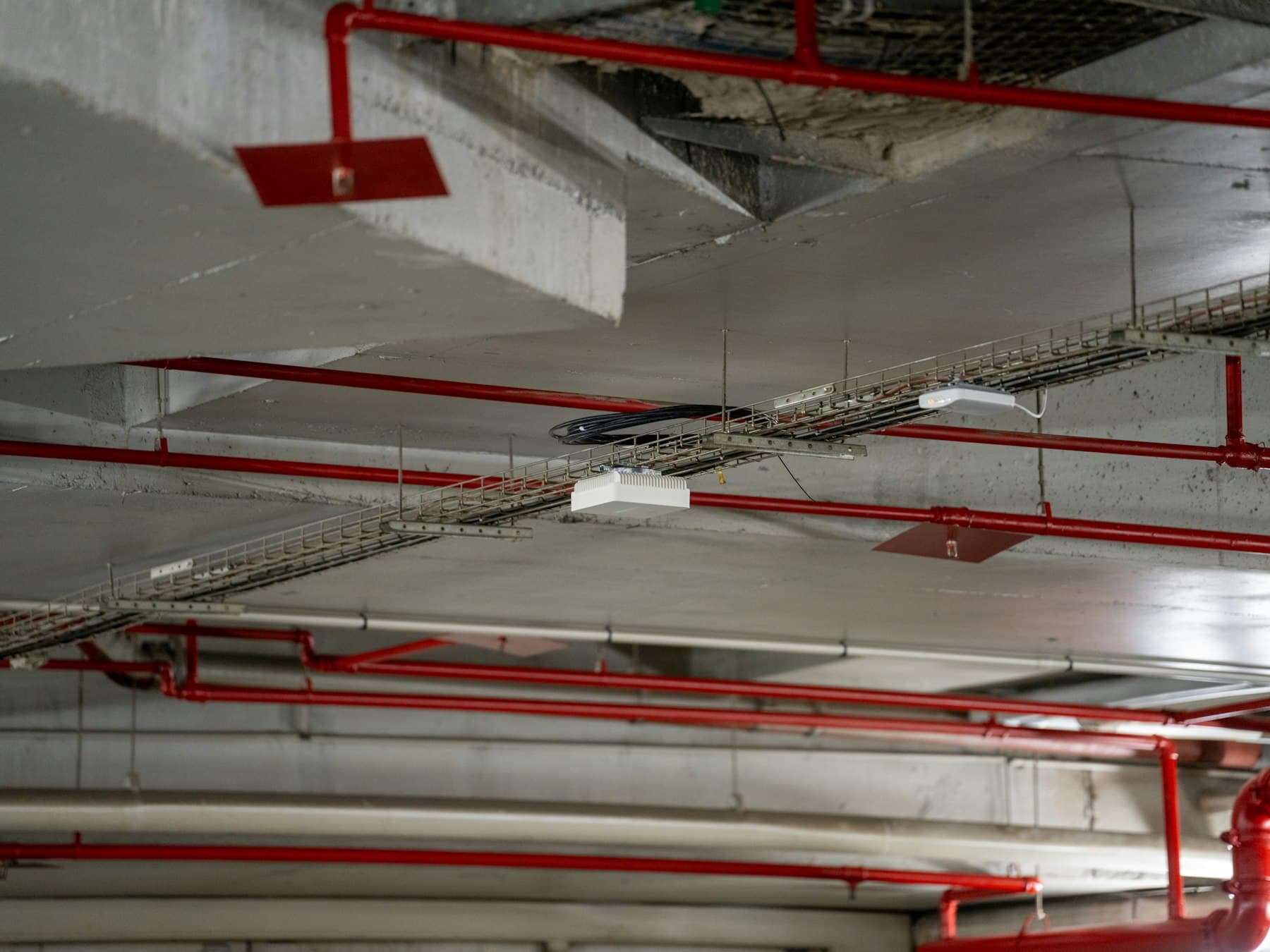 Red fire protection pipes and cable trays running along a concrete ceiling